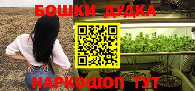 бошки Славгород