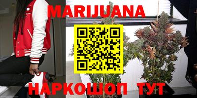 бошки Славгород