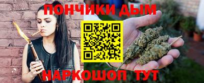 крисы Сланцы