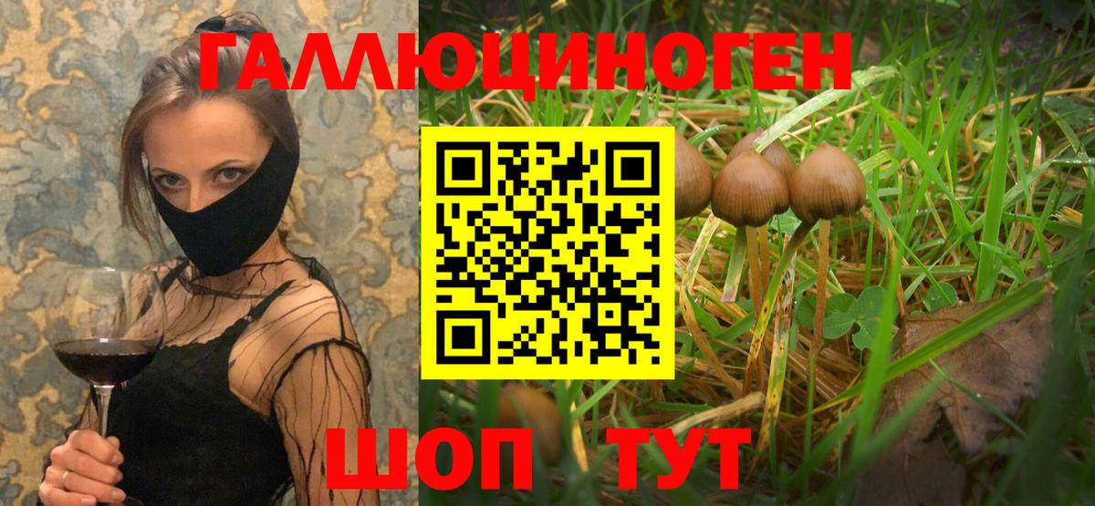 где продают   Галлюциногенные грибы мухоморы  Псилоцибиновые грибы прущие грибы  Вход с VPN  Выкса 